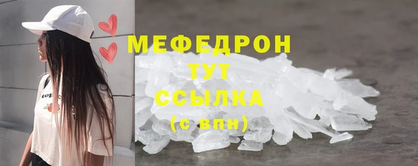 индика Богородицк